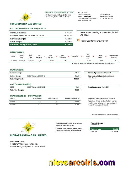 India Indraprastha Gas business utility bill